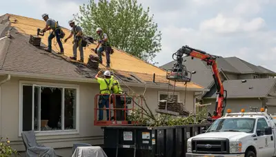 Storm damage cleanup in New Port Richey, FL by Arbor Tree Care for fallen trees and debris removal