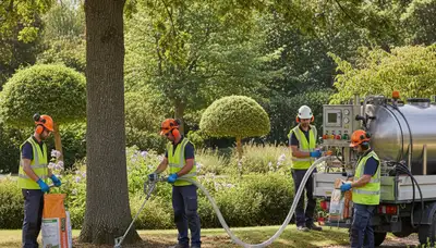 Tree fertilizing service in New Port Richey, FL for healthier roots and stronger tree growth