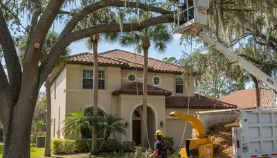 Tree service crew in New Port Richey, FL trimming trees for safe, professional property care