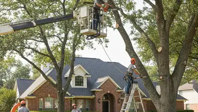 Tree service team in New Port Richey, FL providing professional tree trimming and removal